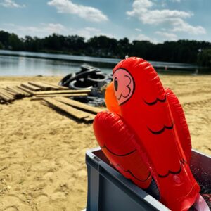 Schwimmpapagei am See